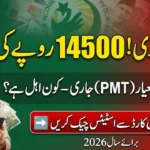 BISP 8171 Eid Payment 2026 Eligibility Complete Criteria, PMT Score & Check Online Method